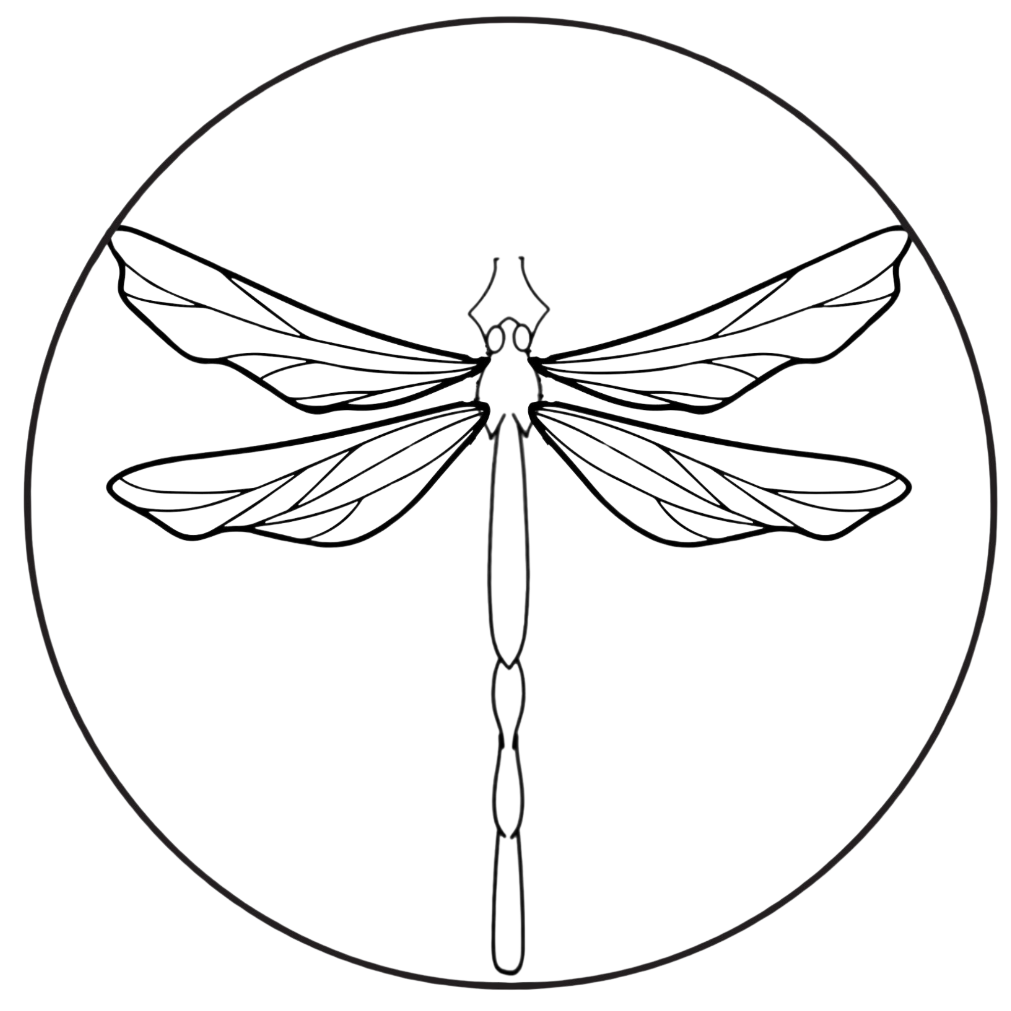 Dragonfly Behavioral Health